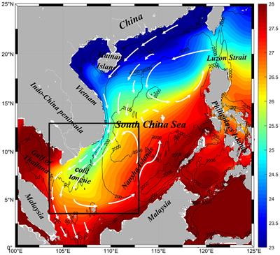 Characteristics and mechanism of winter marine heatwaves in the cold tongue region of the South China Sea